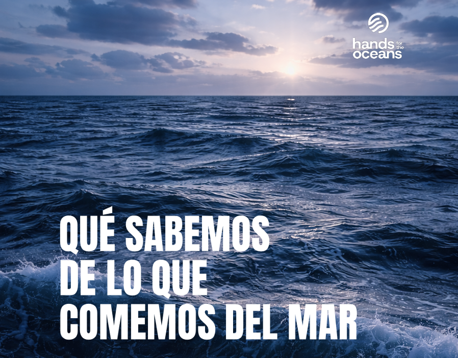 Estudio "Qué sabemos de lo que comemos del mar"